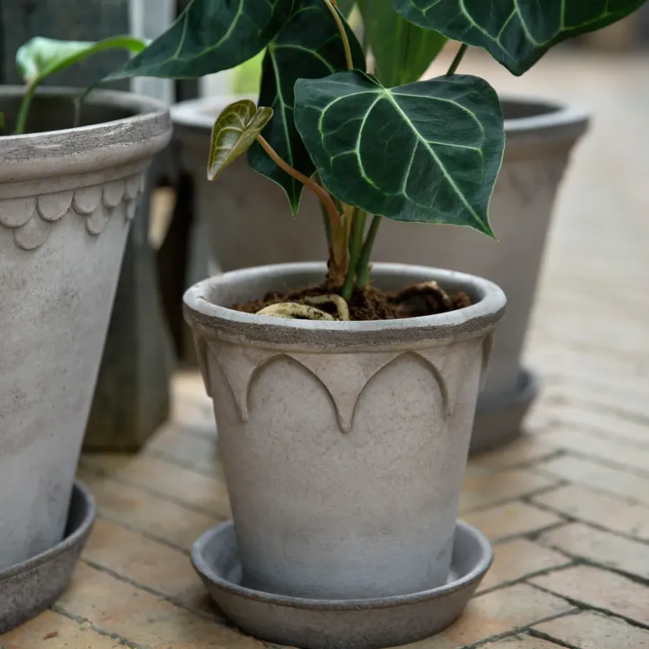 Maceta Elizabeth Ø16 cm, Grey