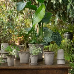 Maceta Elizabeth Ø16 cm, Grey