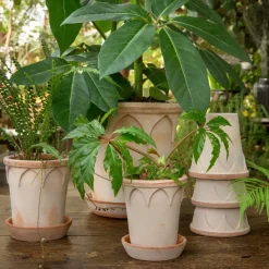 Maceta Elizabeth Ø12 cm, Rose