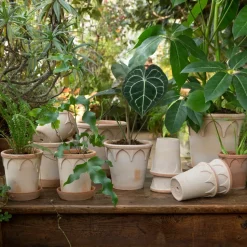 Maceta Elizabeth Ø12 cm, Rose