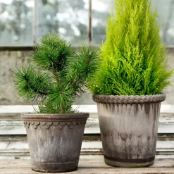 Maceta Emilia 16 cm, gris