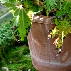 Maceta Emilia 16 cm, Rosa