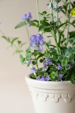 Maceta esmaltada Københavner Ø12 cm, Sand Stone