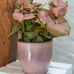 Maceta exterior Knabstrup Ø16,5 cm, rosa