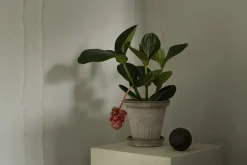 Maceta Fleur con plato, 2 piezas, Gris, Ø18 cm