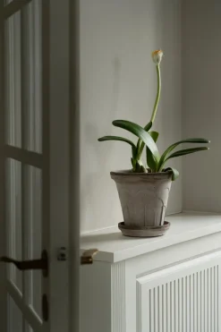 Maceta Fleur con plato, 2 piezas, Gris, Ø18 cm