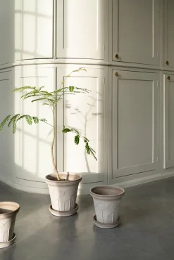 Maceta Fleur con plato, 2 piezas, Gris, Ø18 cm