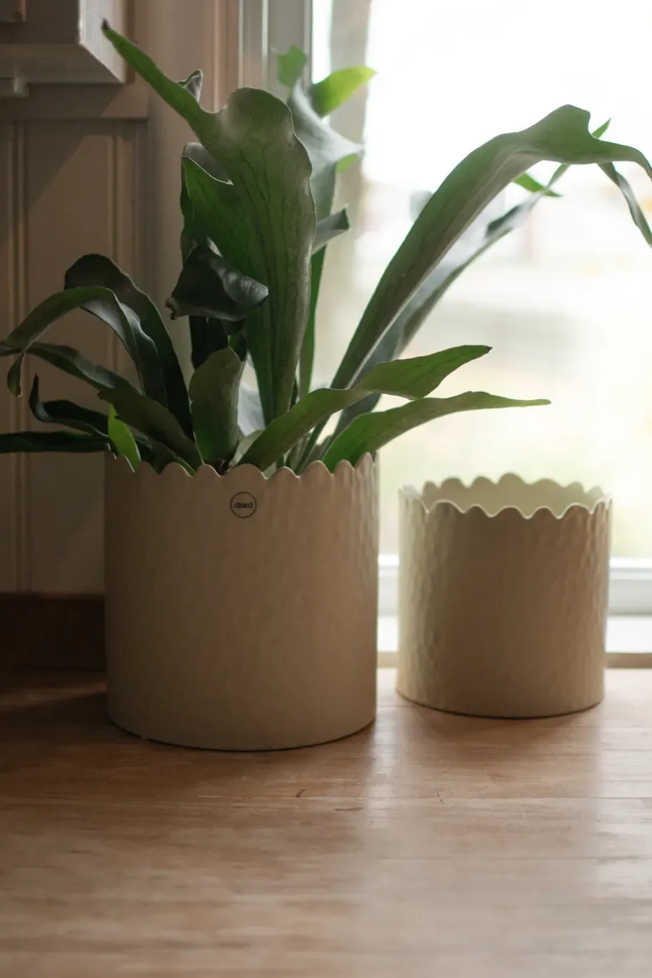 Maceta Flowery Ø16 cm, Creme