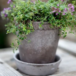 Maceta Helena Ø10 cm, gris