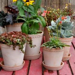 Maceta Helena Ø16 cm, Rosa