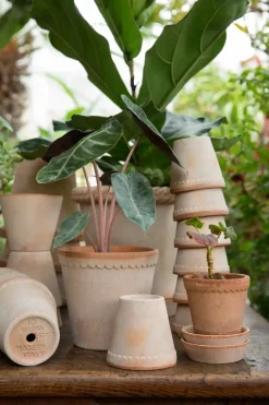 Maceta Helena Ø12 cm, Rosa