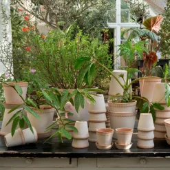 Maceta Helena Ø14 cm, Rosa