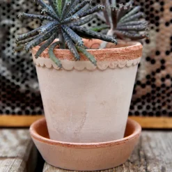 Maceta Helena Ø10 cm, Rosa