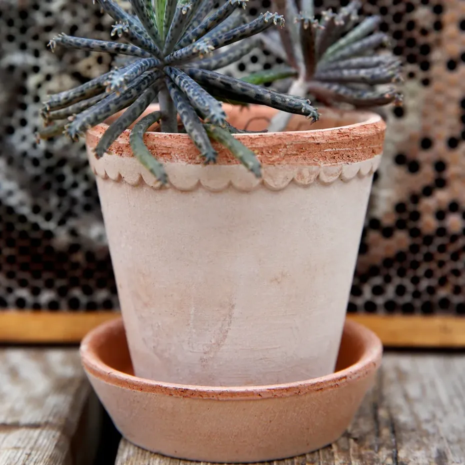 Maceta Helena Ø10 cm, Rosa