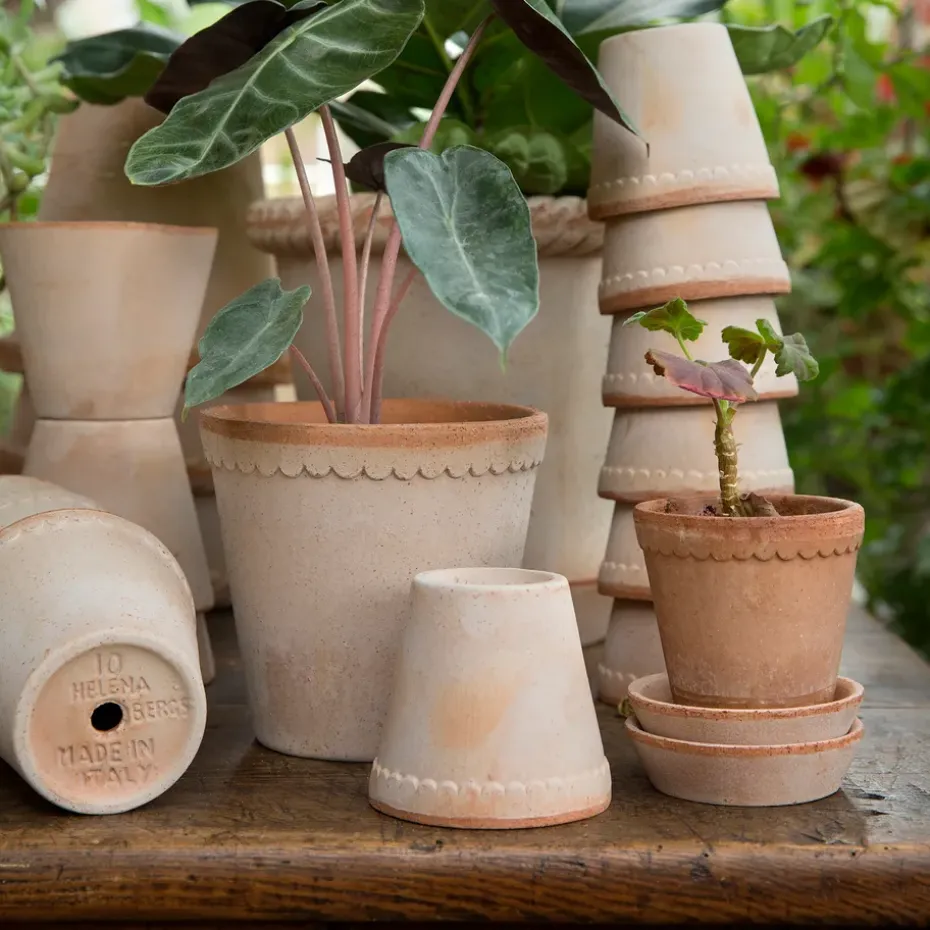 Maceta Helena Ø10 cm, Rosa