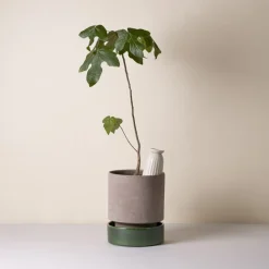 Maceta Hoff, Ø18 cm, Raw Grey-Emerald Green