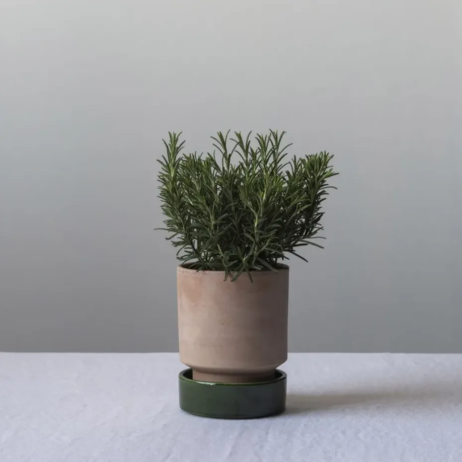 Maceta Hoff, Ø16 cm, Raw Rosa-Emerald Green