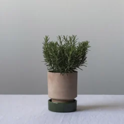 Maceta Hoff, Ø14 cm, Raw Rosa-Emerald Green