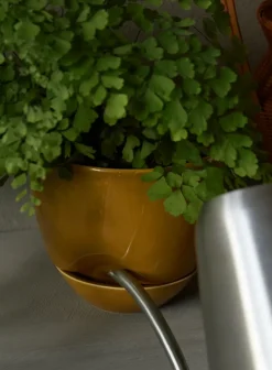 Maceta Hydrous Ø12 cm, Ochre