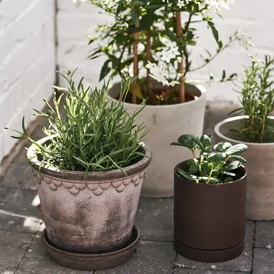 Maceta Københavner 21 cm, gris