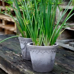 Maceta Københavner Ø18 cm, gris