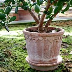 Maceta Københavner 21 cm, Rosa