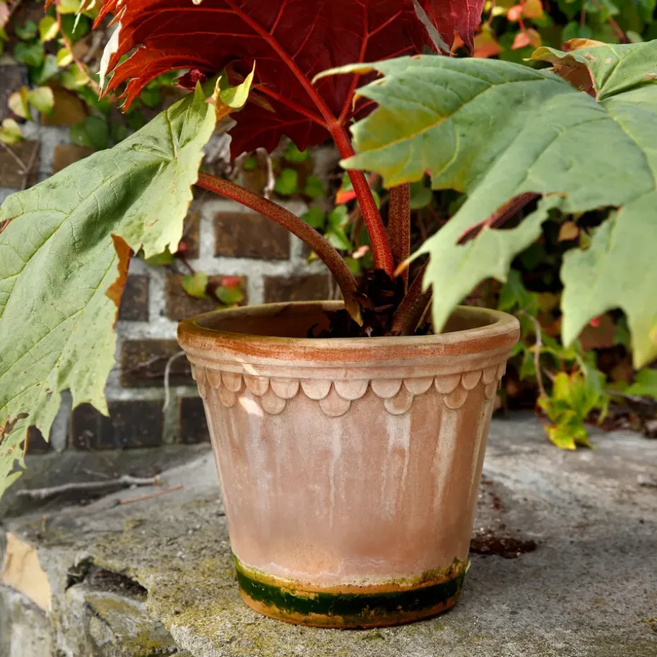 Maceta Københavner 21 cm, Rosa