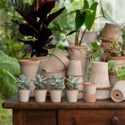 Maceta Københavner Ø10 cm, Rosa