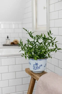 Maceta Ostindia, Ø17x13 cm