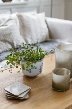 Maceta Ostindia, Ø17x13 cm