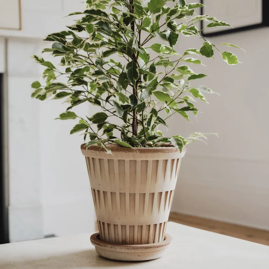 Maceta Pantheon raw, Rosa, Ø21 cm