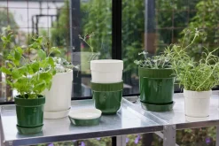 Maceta para especias Elise Ø11 cm, Blanco