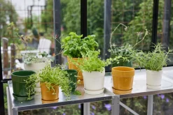 Maceta para especias Elise Ø11 cm, Blanco