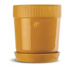 Maceta para especias Elise Ø11 cm, Amarillo