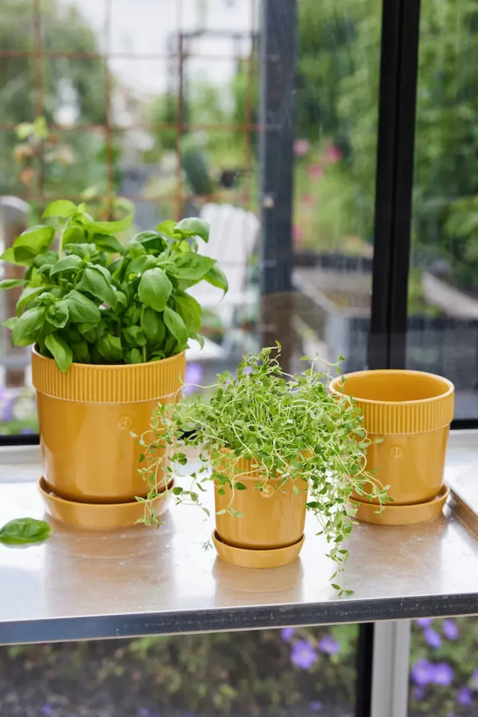 Maceta para especias Elise Ø11 cm, Amarillo