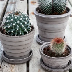 Maceta Planet Venus Ø14 cm, gris