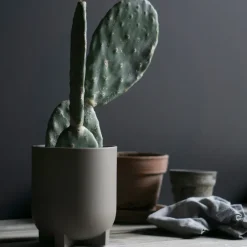 Maceta Plus Ø16 cm, Dust