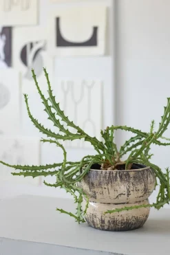 Maceta Raw Ø17 cm, Off-white