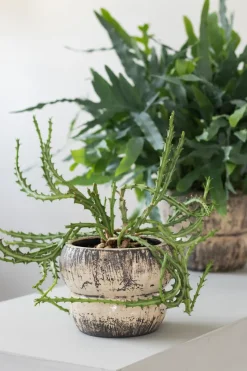 Maceta Raw Ø17 cm, Off-white