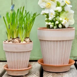 Maceta Simona Ø18 cm, Rosa