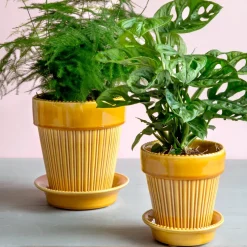 Maceta Simona esmaltada Ø14 cm, amarillo