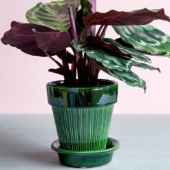 Maceta Simona esmaltada Ø16 cm, verde