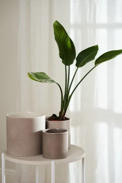 Maceta Sleek Ø12 cm, Beige