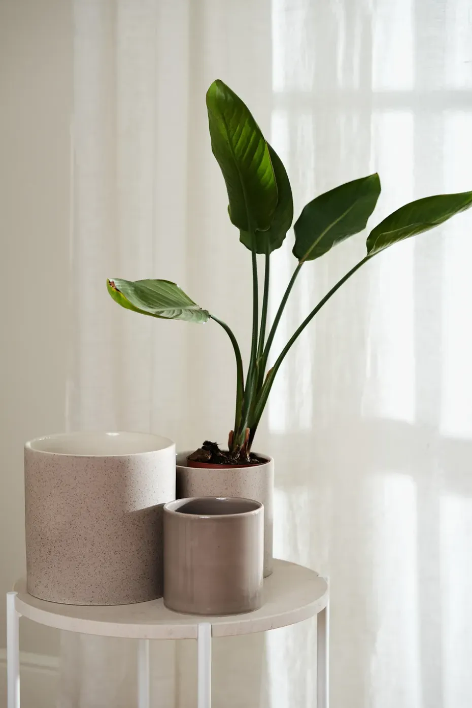 Maceta Sleek Ø12 cm, Beige