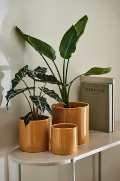 Maceta Sleek Ø12 cm, Mostaza