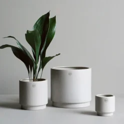 Maceta Solid mole, Mediana ø16 cm