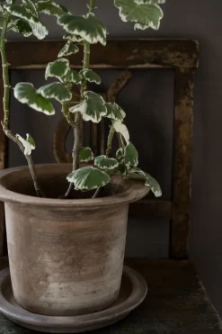 Maceta terracota Ernst con plato, Ø24x17 cm