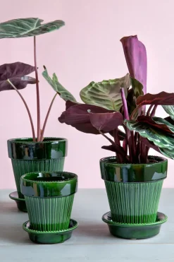 Maceta vidriada Simona Ø12 cm Ø12 cm, Green