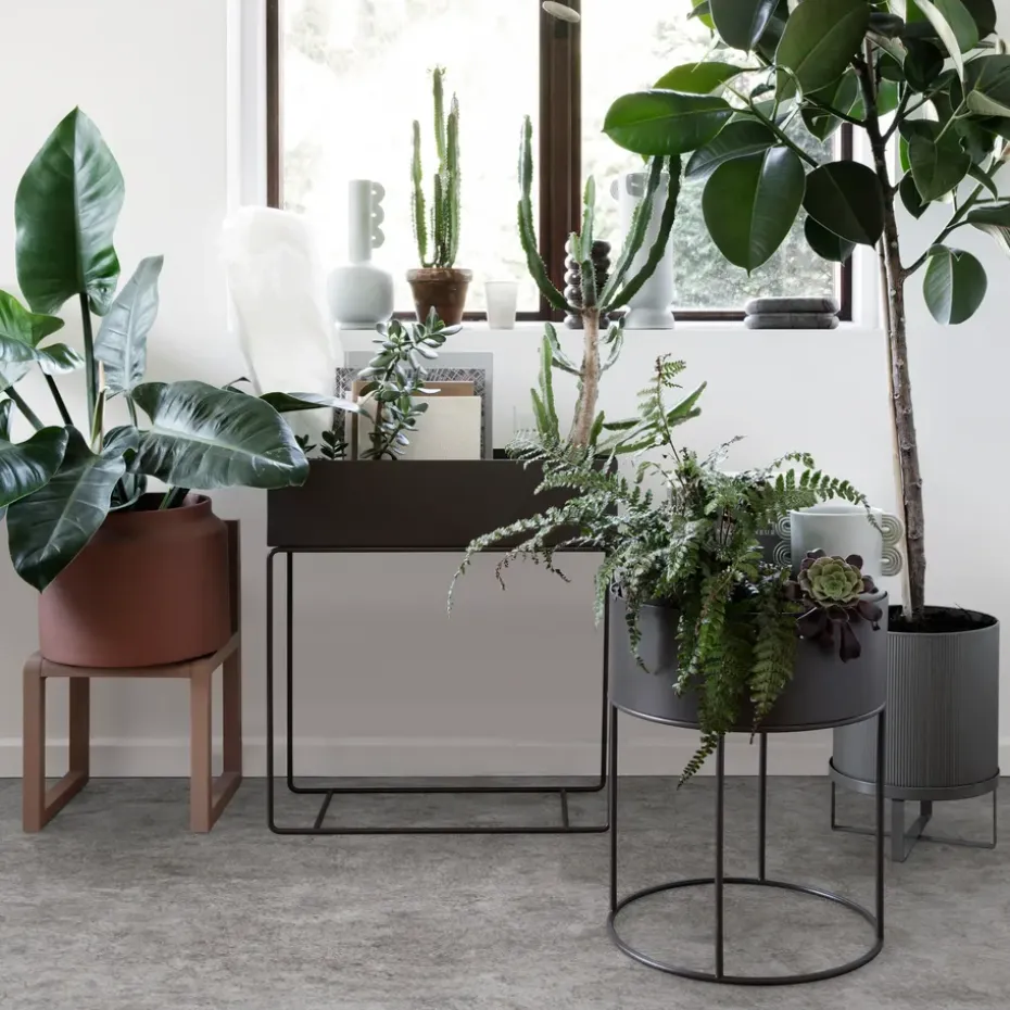 Macetero Plant Box ferm LIVING, negro