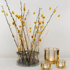 Portavelas Jazz, Mini